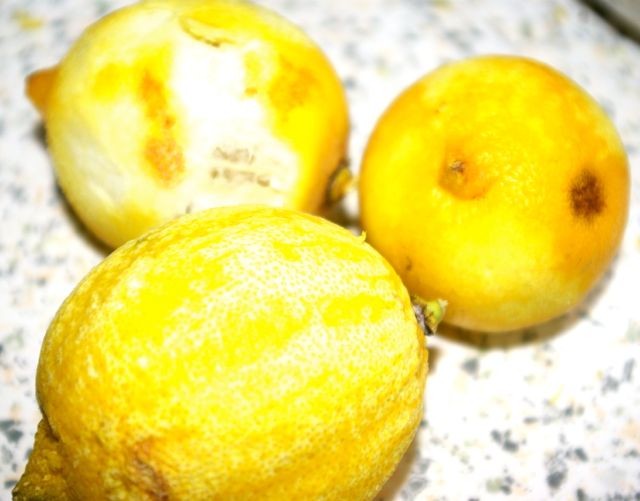 Zitronen geschält