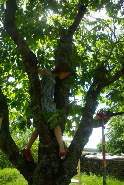Friederike im Baum
